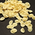 APULIA fresh pasta